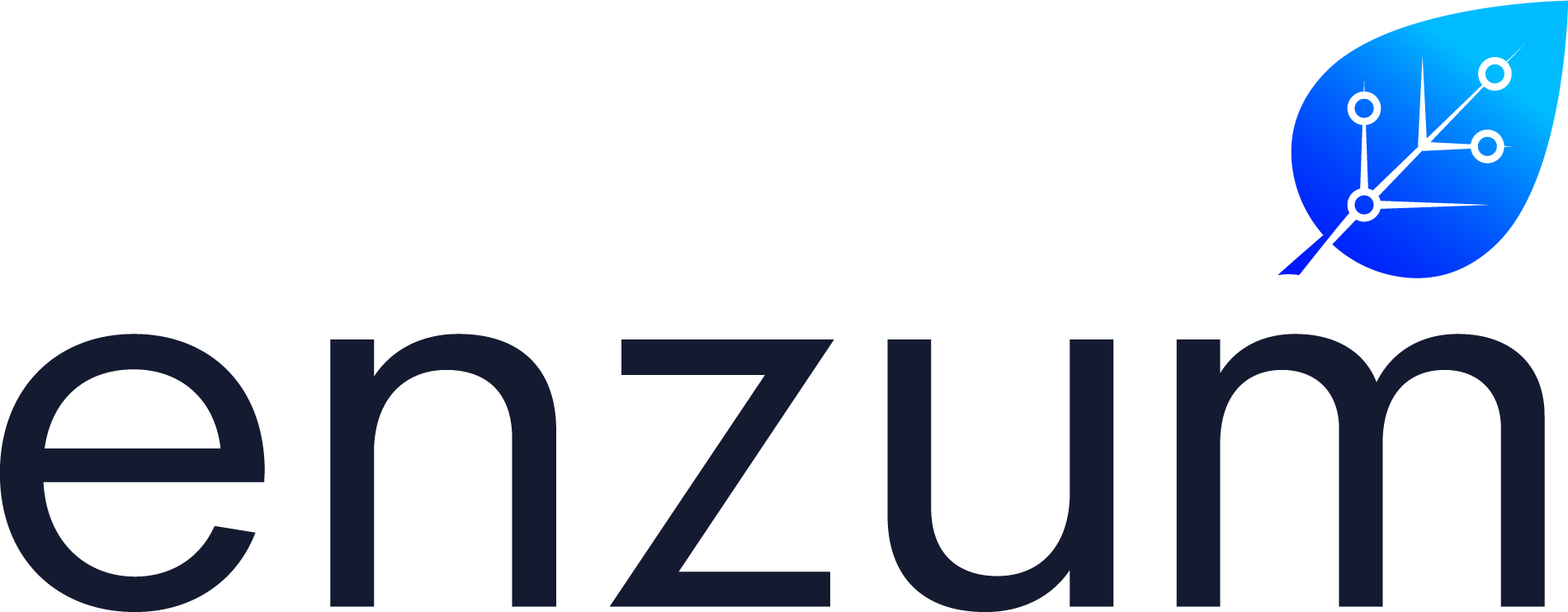 enzum_logo